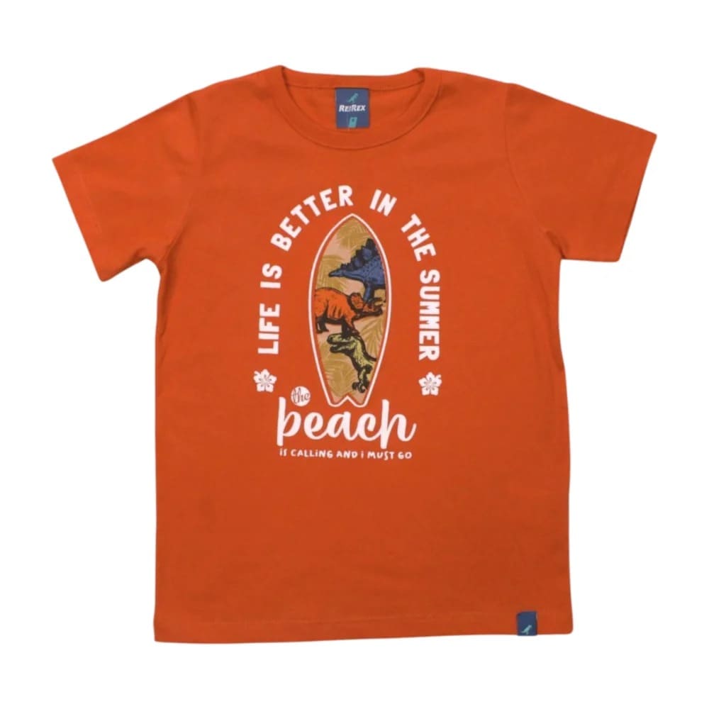 Camiseta Manga Curta Estampa Dinossauros 45467 – Rei Rex