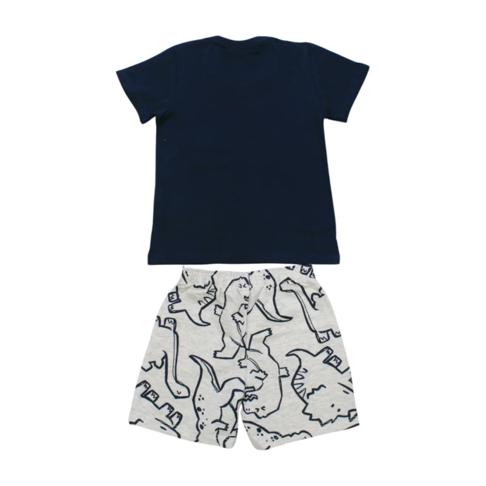 Conjunto Masculino Camiseta Estampada Dinossauros e Bermuda Moletinho 21245 – Rollu