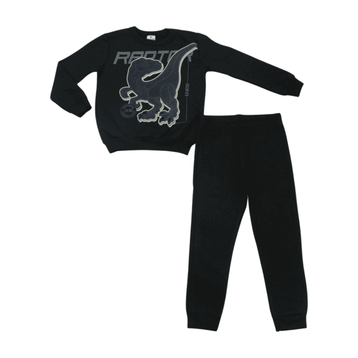 Agasalho Masculino Estampa Dino 55450 – Brandili