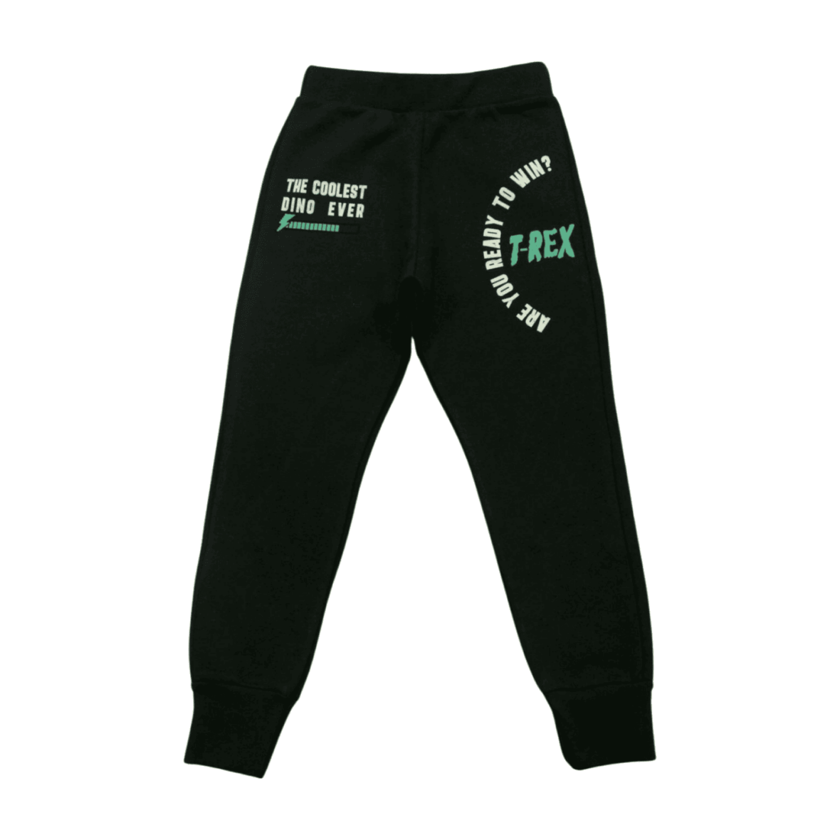 Calça Moletom Masculina T.Rex 8472 – Livy