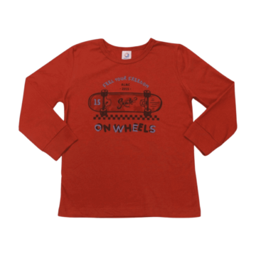 camiseta_manga_longa_skate_72226_alenice_52768_1_05558f47d50c07b9d07fa08ef709859e.png