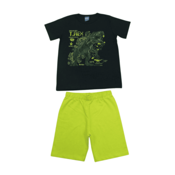 conjunto_masculino_camiseta_estampa_t_rex_e_bermuda_moletinho_47012_rei_rex_53954_variacao_152362_1_96967c7eb7d1f4c78dbb0bae3d6fe508.png