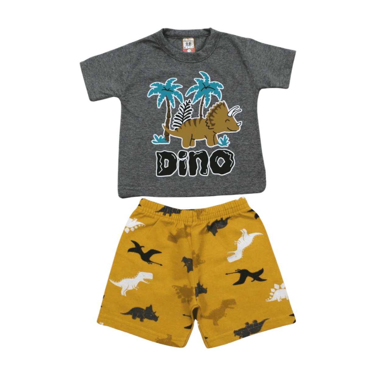 Conjunto Masculino Camiseta e Bermuda Moletinho Estampas Sortidas 82 - Cleomara