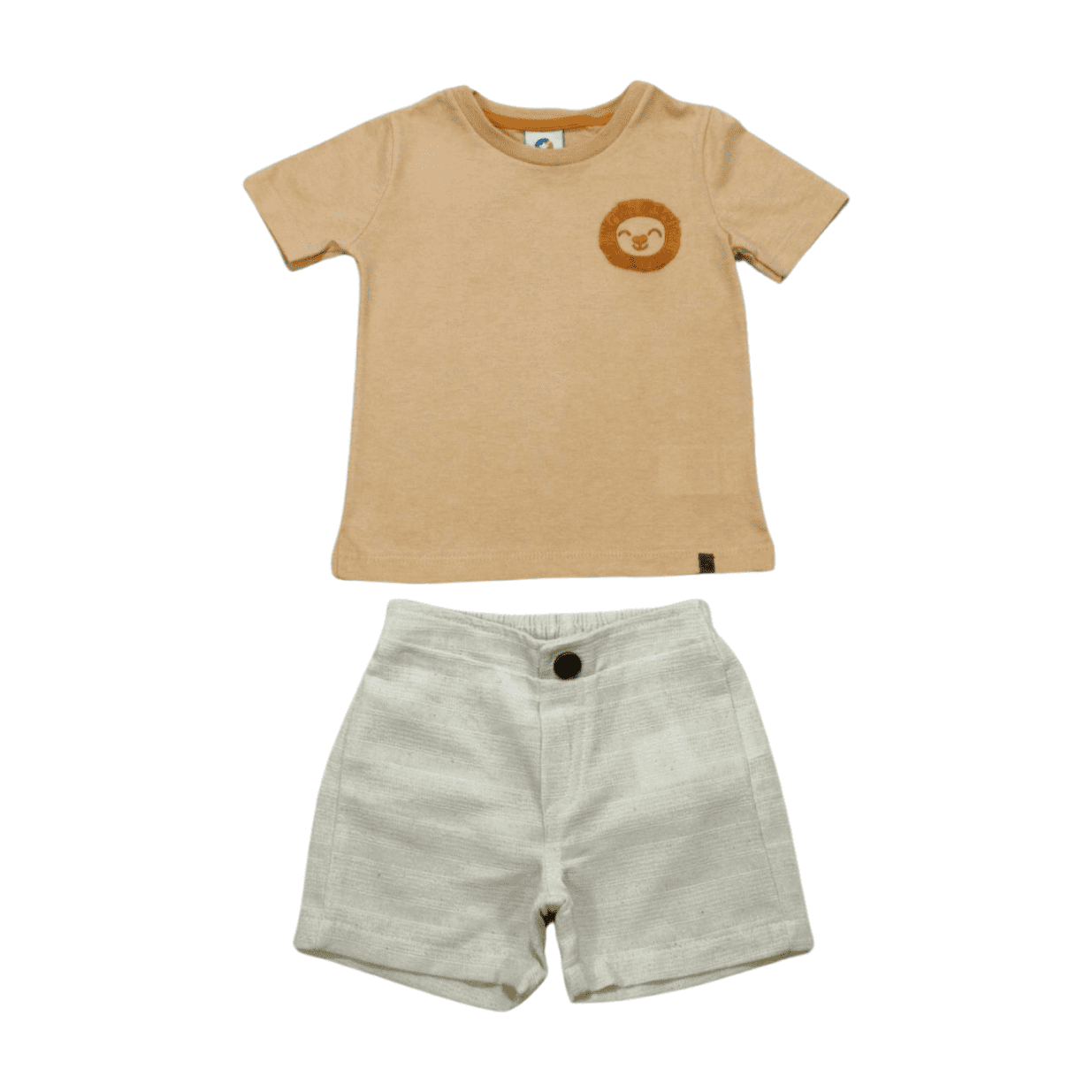 Conjunto Masculino Camiseta Leão e Bermuda Tecido 70107 - Alenice