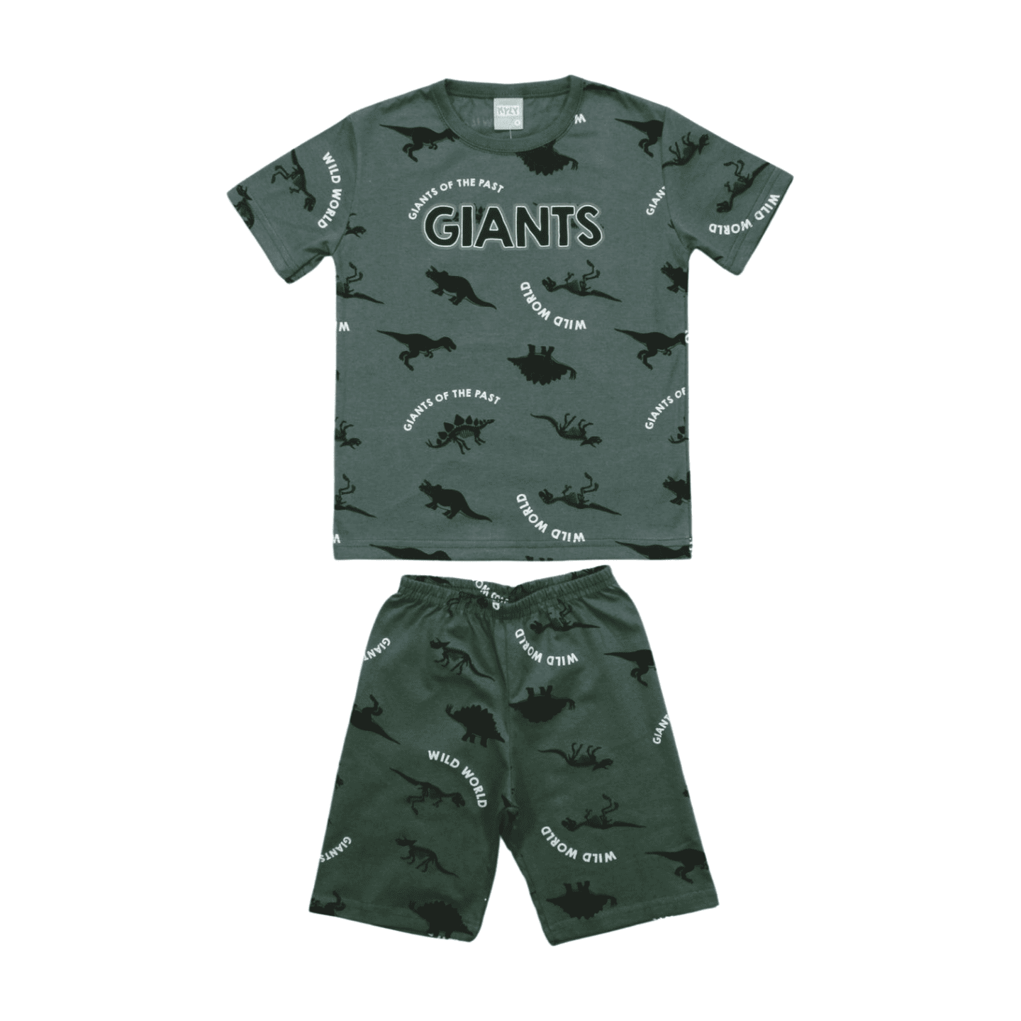 Pijama Malha Curto Masculino Estampa Dinossauros Brilha no Escuro 1000454 - Kyly