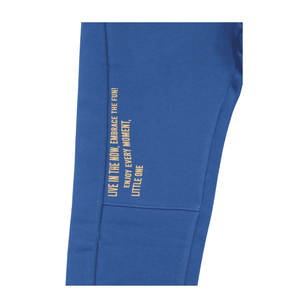 Calça em Moletom Masculino com Bolso Lateral 17617- Abrange