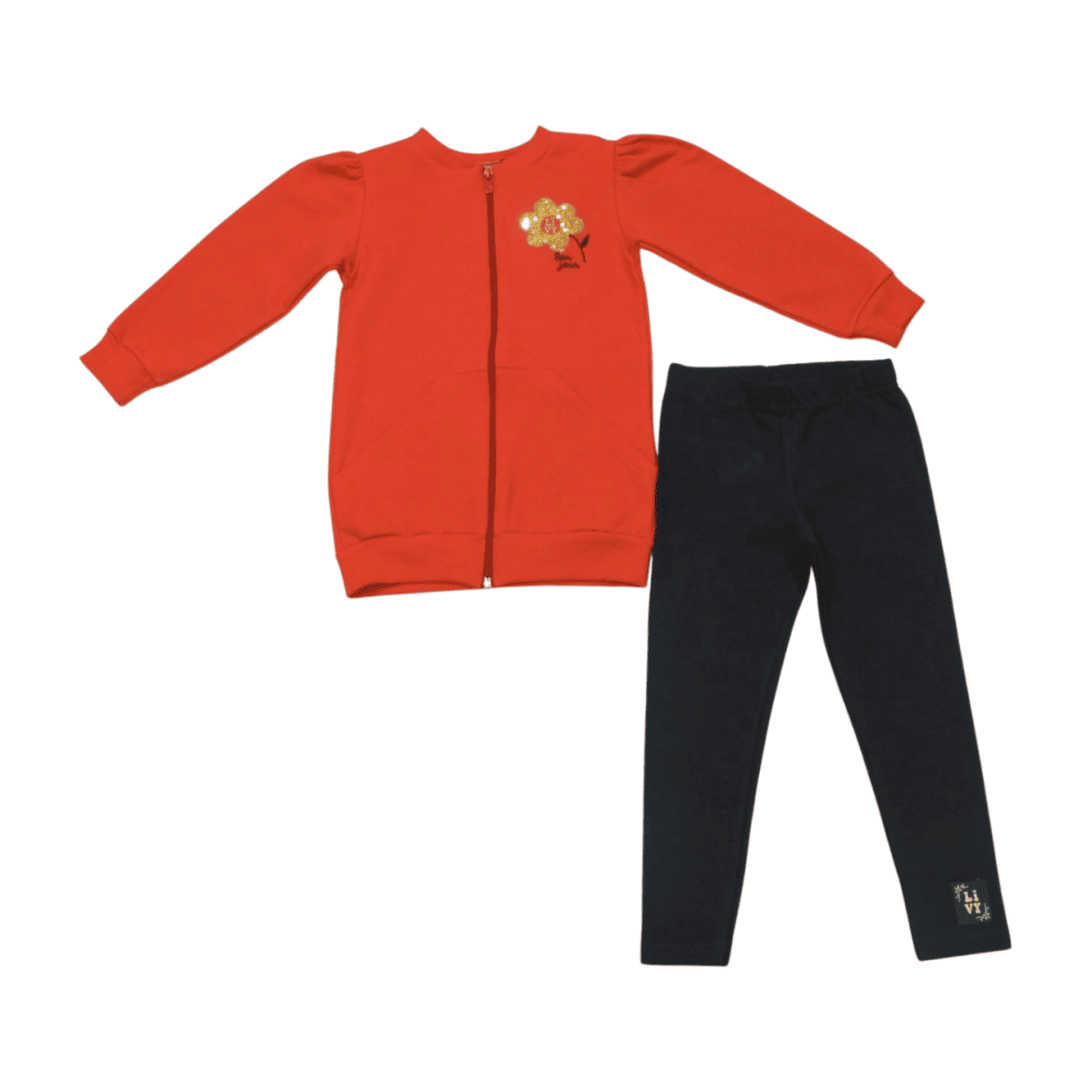 Conjunto Longo Feminino Blusão Bordado Flor e Legging 9024 - Livy