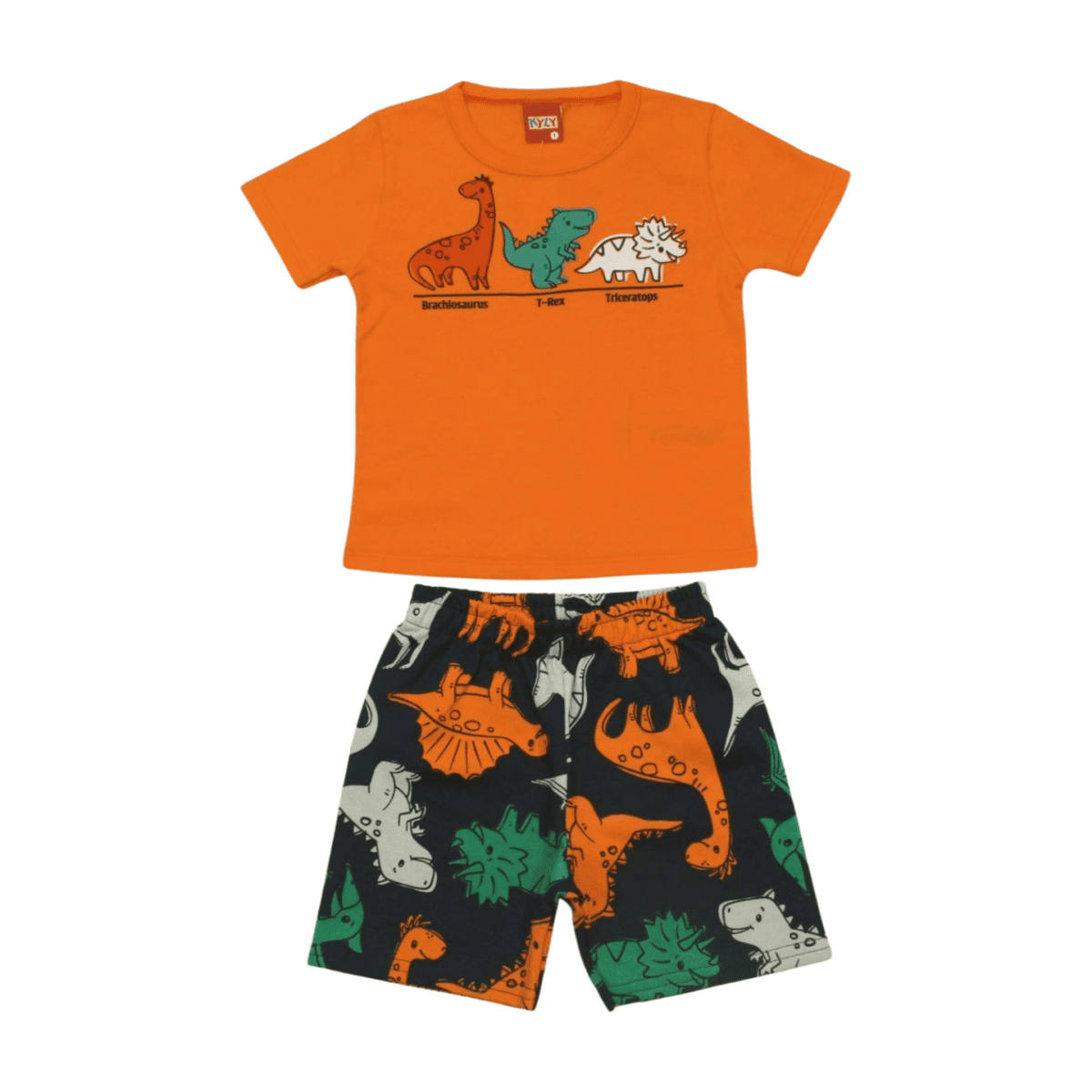 Conjunto Masculino Camiseta e Bermuda Moletinho Estampada Dinos 1001064 - Kyly