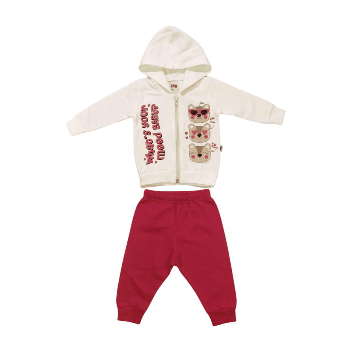 Conjunto Moletom Feminino Capuz Ursos 8382 - Livy